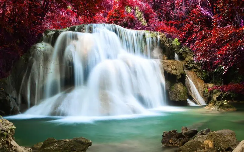 新型自动化